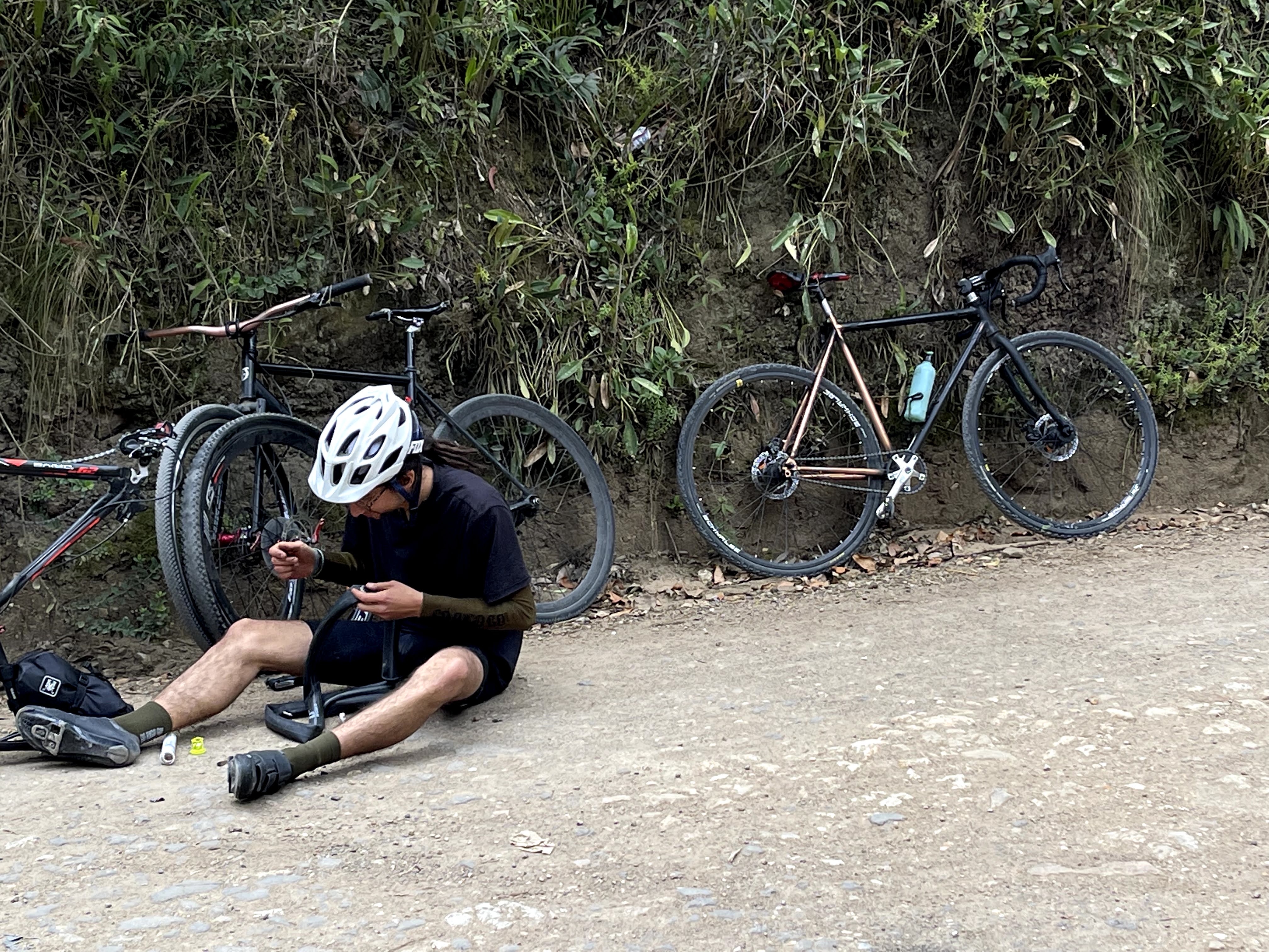 Full Bike Rebuild Checklist — Trek Domane AL 2 (2021, Claris R2000)